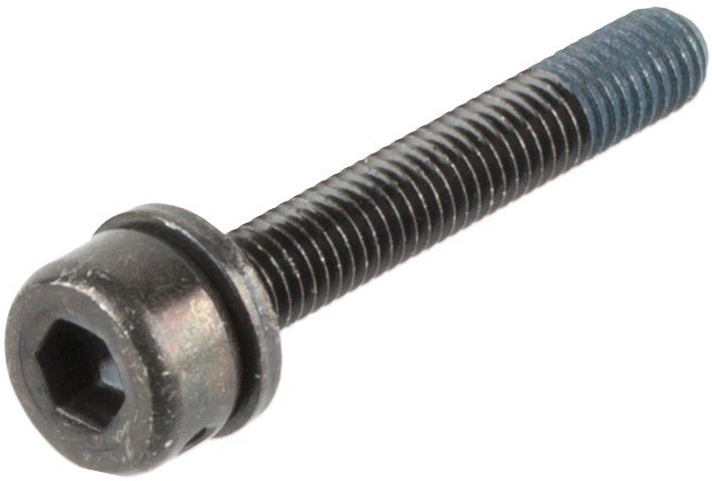 Shimano Befestigungsschrauben Für Scheibenbremsadapter Flat Mount Auf PM 2 Shimano Befestigungsschrauben Für Scheibenbremsadapter Flat Mount Auf PM – Bild 2