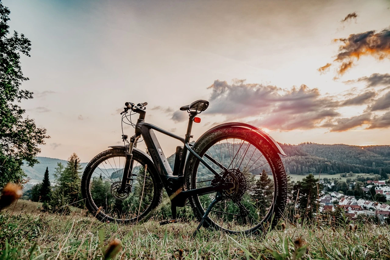 mountain bike, e bike, bicycle, mtb, to go biking, pedelec, sports, bike tour, landscape, nature, fitness, athletic, leisure time, bike, active, biker, wheel, electric, cyclist, recreation, man, cycling tour, mountain bike, e bike, e bike, e bike, e bike, e bike, pedelec