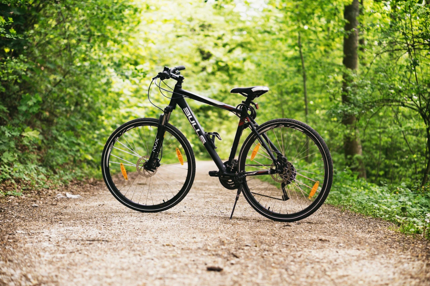 Warum hochwertige Fahrradkomponenten den Unterschied machen 1 A mountain bike resting on a forest path surrounded by lush green trees in broad daylight.